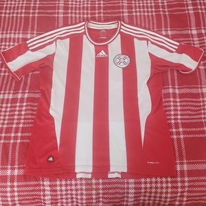 Paraguay National Soccer Futbol jersey large